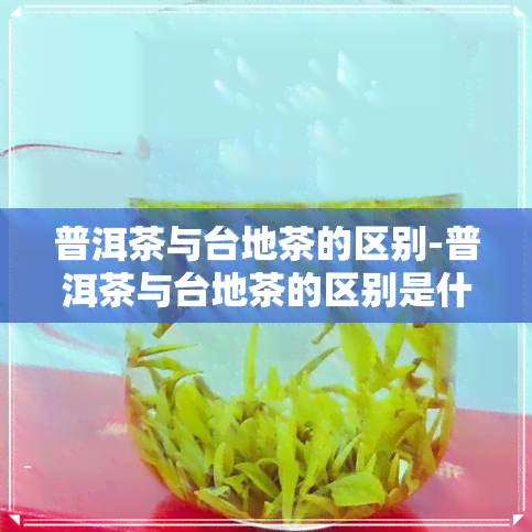 普洱茶与台地茶的区别-普洱茶与台地茶的区别是什么