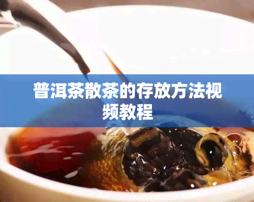 普洱茶散茶的存放方法视频教程