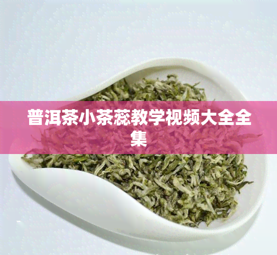 普洱茶小茶蕊教学视频大全全集