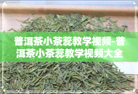 普洱茶小茶蕊教学视频-普洱茶小茶蕊教学视频大全