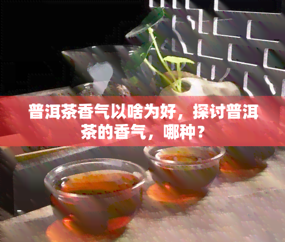 普洱茶香气以啥为好，探讨普洱茶的香气，哪种？