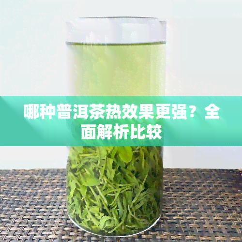 哪种普洱茶热效果更强？全面解析比较