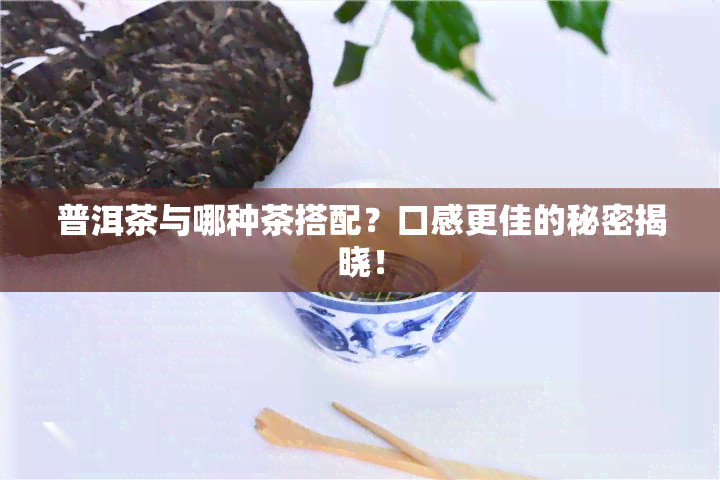 普洱茶与哪种茶搭配？口感更佳的秘密揭晓！