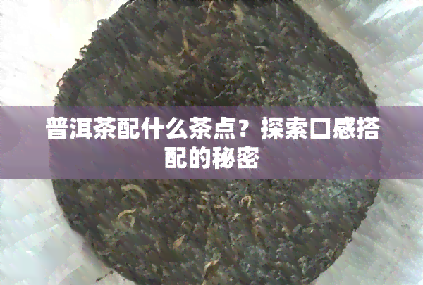 普洱茶配什么茶点？探索口感搭配的秘密