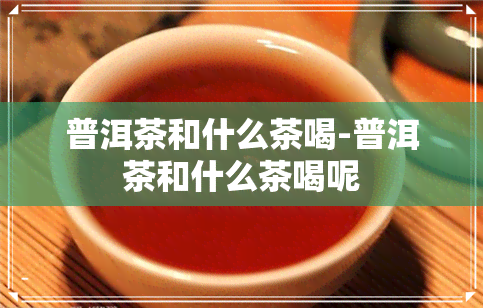 普洱茶和什么茶喝-普洱茶和什么茶喝呢