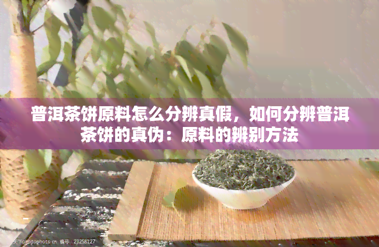 普洱茶饼原料怎么分辨真假，如何分辨普洱茶饼的真伪：原料的辨别方法