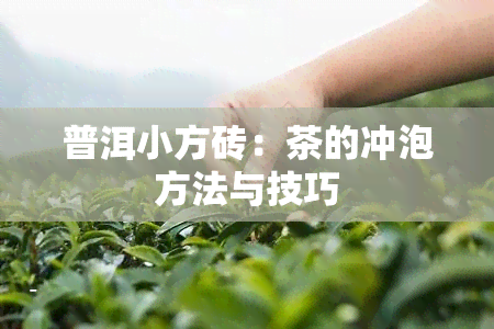 普洱小方砖：茶的冲泡方法与技巧