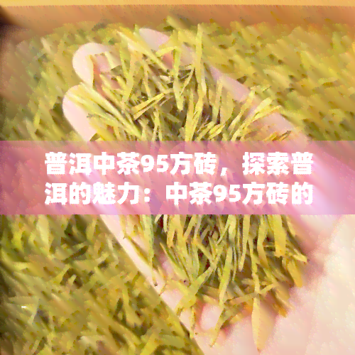 普洱中茶95方砖，探索普洱的魅力：中茶95方砖的口感与历