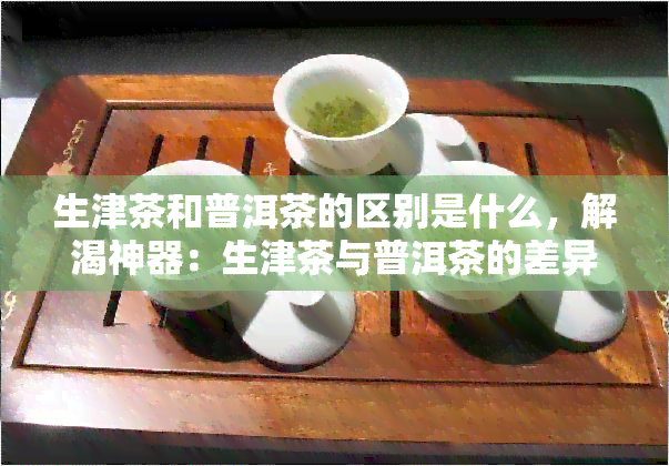 生津茶和普洱茶的区别是什么，解渴神器：生津茶与普洱茶的差异在哪里？