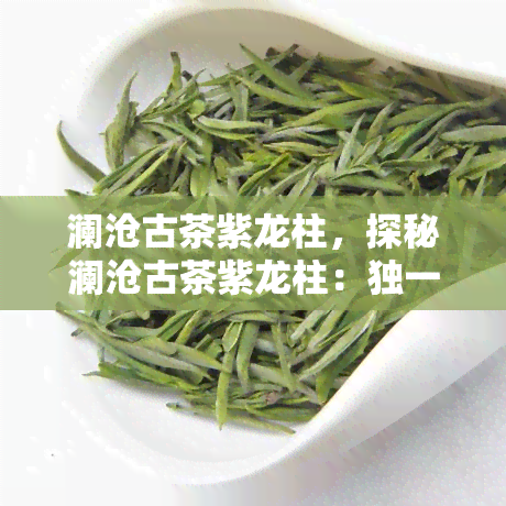 澜沧古茶紫龙柱，探秘澜沧古茶紫龙柱：独一无二的普洱茶瑰宝