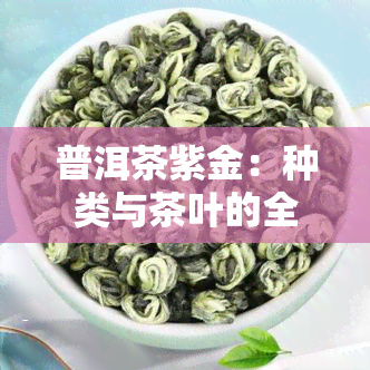 普洱茶紫金：种类与茶叶的全解析