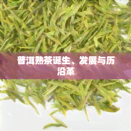 普洱熟茶诞生、发展与历沿革