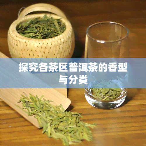 探究各茶区普洱茶的香型与分类