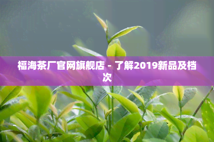 福海茶厂官网旗舰店 - 了解2019新品及档次