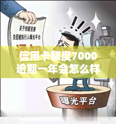 信用卡额度7000逾期一年会怎么样，逾期一年，信用卡额度7000会产生什么后果？