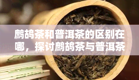 鹧鸪茶和普洱茶的区别在哪，探讨鹧鸪茶与普洱茶的异同之处