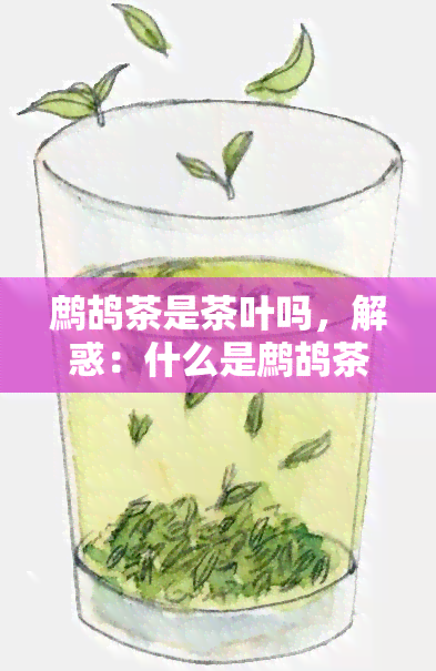 鹧鸪茶是茶叶吗，解惑：什么是鹧鸪茶？它是茶叶吗？