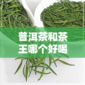 普洱茶和茶王哪个好喝-普洱茶和茶王哪个好喝一点