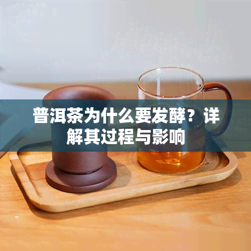 普洱茶为什么要发酵？详解其过程与影响