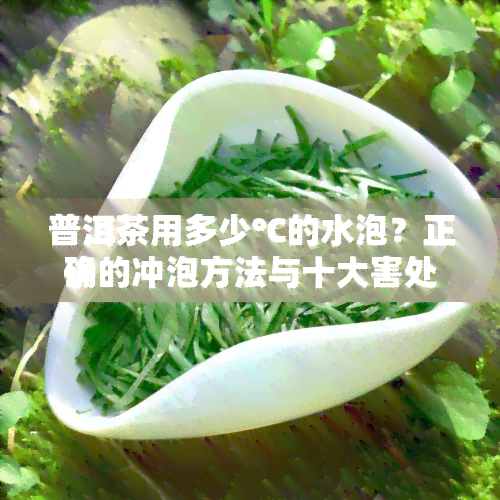 普洱茶用多少℃的水泡？正确的冲泡方法与十大害处解析