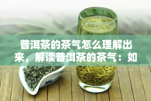 普洱茶的茶气怎么理解出来，解读普洱茶的茶气：如何感知和理解它的存在？