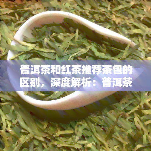 普洱茶和红茶推荐茶包的区别，深度解析：普洱茶与红茶茶包的差异及推荐理由