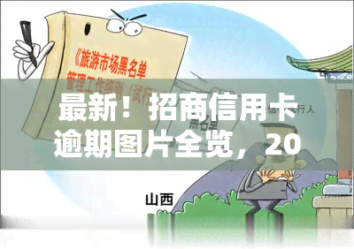 最新！招商信用卡逾期图片全览，2021年逾期情况一目了然