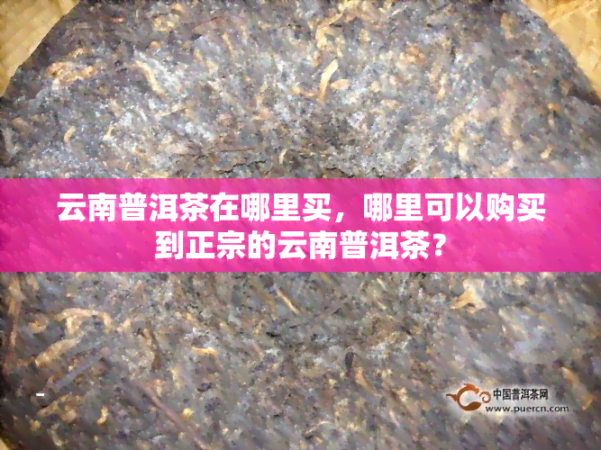 云南普洱茶在哪里买，哪里可以购买到正宗的云南普洱茶？