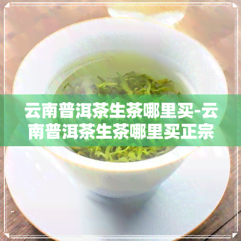 云南普洱茶生茶哪里买-云南普洱茶生茶哪里买正宗