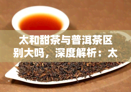 太和甜茶与普洱茶区别大吗，深度解析：太和甜茶与普洱茶有何显著区别？