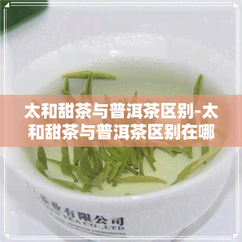 太和甜茶与普洱茶区别-太和甜茶与普洱茶区别在哪