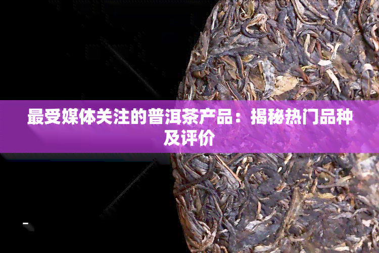 最受媒体关注的普洱茶产品：揭秘热门品种及评价