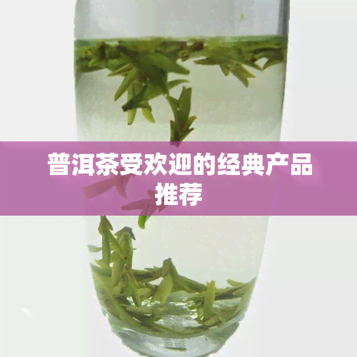 普洱茶受欢迎的经典产品推荐