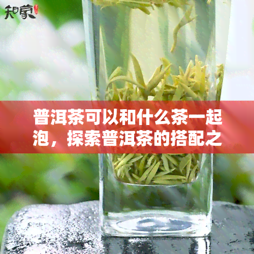 普洱茶可以和什么茶一起泡，探索普洱茶的搭配之道：可以与哪些茶叶一起冲泡？