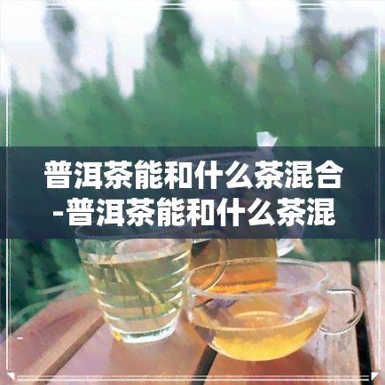 普洱茶能和什么茶混合-普洱茶能和什么茶混合喝