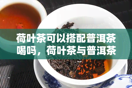 荷叶茶可以搭配普洱茶喝吗，荷叶茶与普洱茶：是否适合搭配饮用？