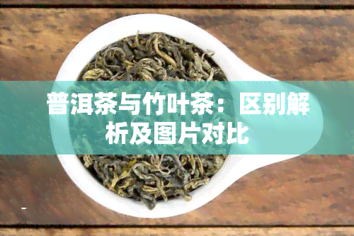 普洱茶与竹叶茶：区别解析及图片对比