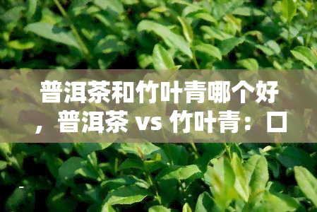 普洱茶和竹叶青哪个好，普洱茶 vs 竹叶青：口感、功效的全面对比评测