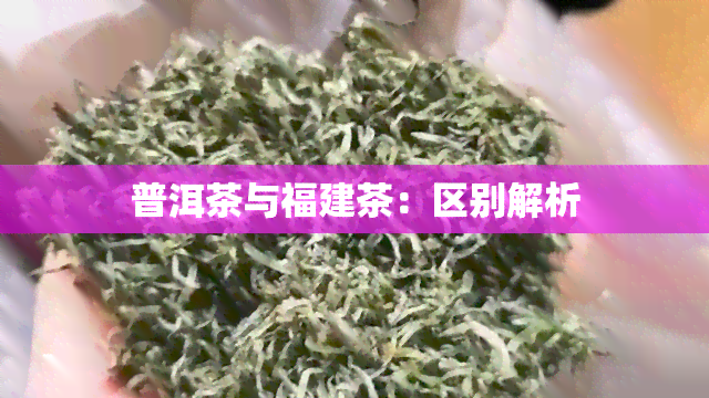 普洱茶与福建茶：区别解析