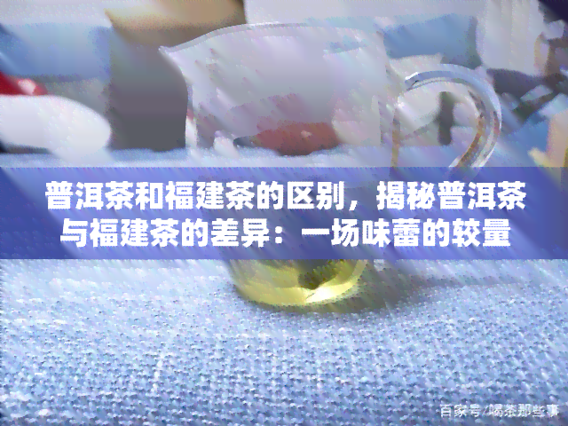 普洱茶和福建茶的区别，揭秘普洱茶与福建茶的差异：一场味蕾的较量