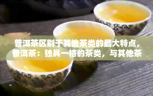 普洱茶区别于其他茶类的更大特点，普洱茶：独具一格的茶类，与其他茶类更大的区别是什么？