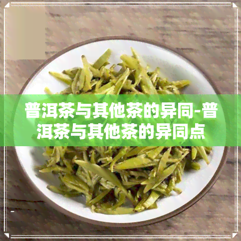 普洱茶与其他茶的异同-普洱茶与其他茶的异同点