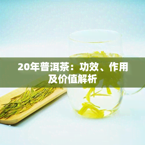 20年普洱茶：功效、作用及价值解析