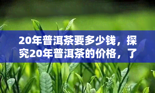 20年普洱茶要多少钱，探究20年普洱茶的价格，了解其价值与收藏潜力