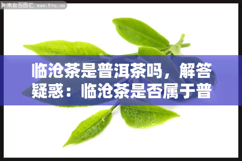 临沧茶是普洱茶吗，解答疑惑：临沧茶是否属于普洱茶？