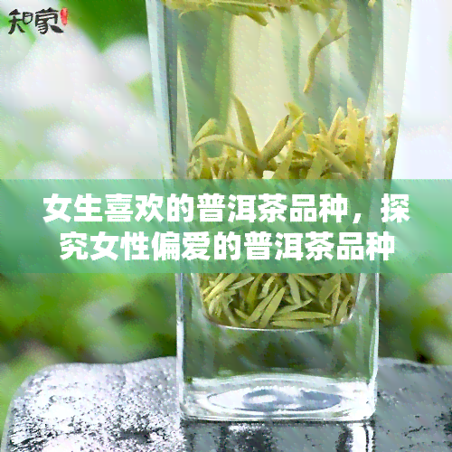 女生喜欢的普洱茶品种，探究女性偏爱的普洱茶品种