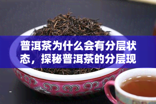 普洱茶为什么会有分层状态，探秘普洱茶的分层现象：原因解析与品鉴技巧