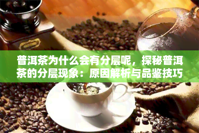 普洱茶为什么会有分层呢，探秘普洱茶的分层现象：原因解析与品鉴技巧