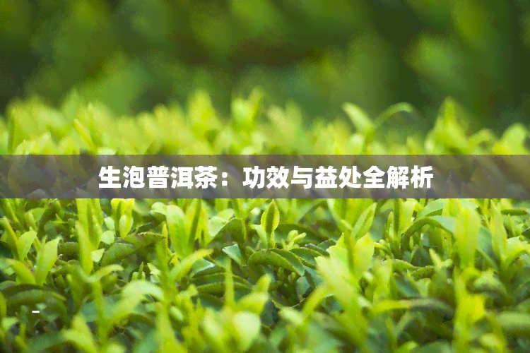 生泡普洱茶：功效与益处全解析