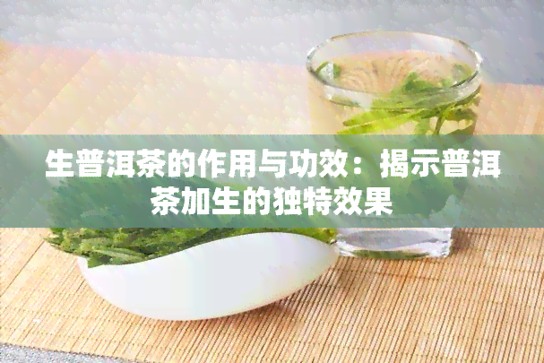 生普洱茶的作用与功效：揭示普洱茶加生的独特效果